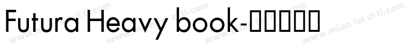 Futura Heavy book字体转换